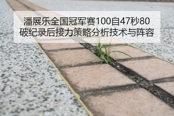 潘展乐全国冠军赛100自47秒80破纪录后接力策略分析技术与阵容
